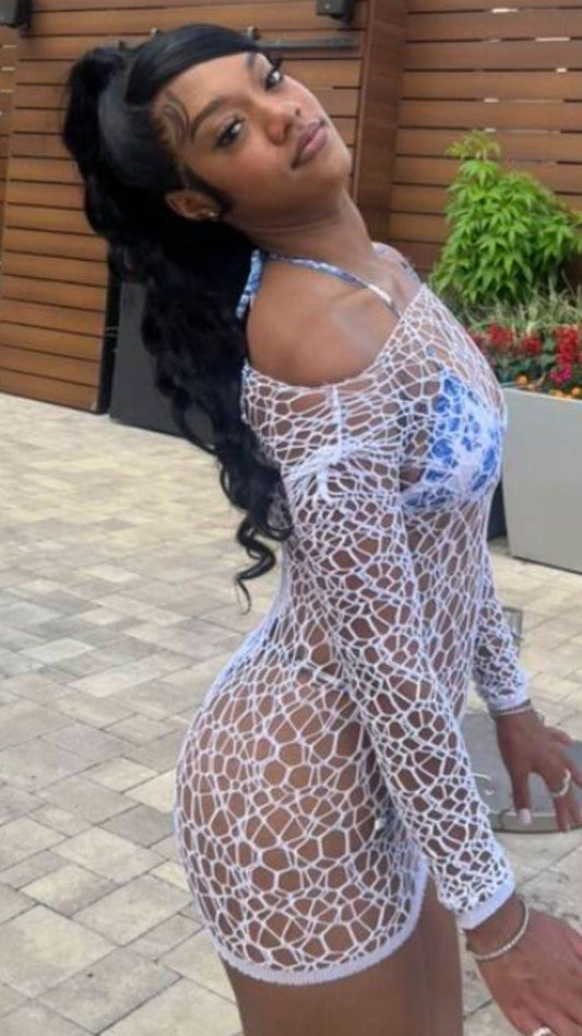 Too hot Netted Dress
